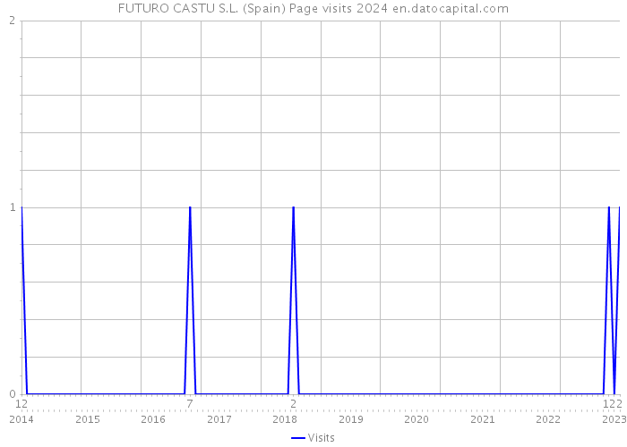 FUTURO CASTU S.L. (Spain) Page visits 2024 