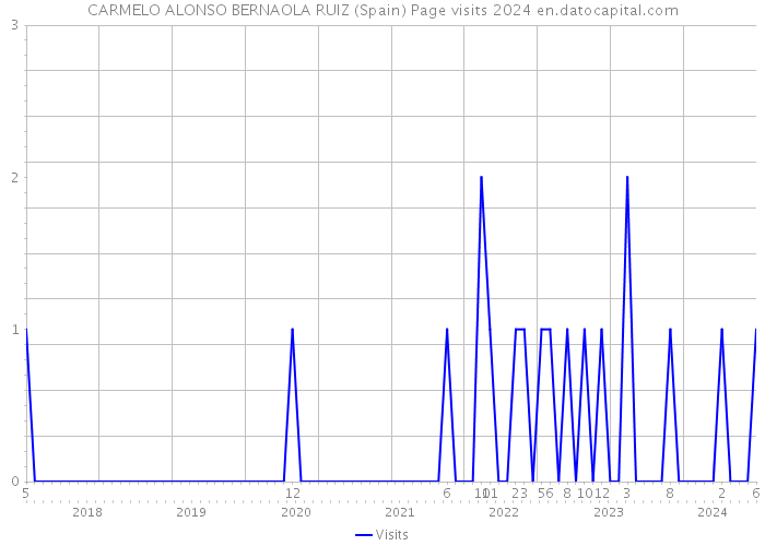 CARMELO ALONSO BERNAOLA RUIZ (Spain) Page visits 2024 
