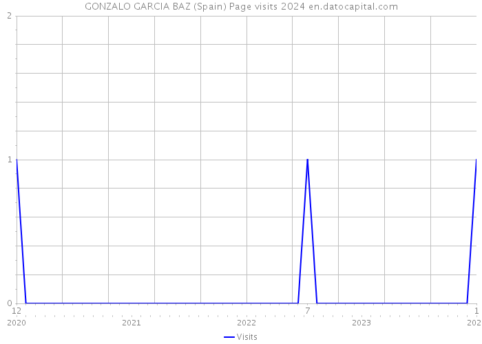 GONZALO GARCIA BAZ (Spain) Page visits 2024 