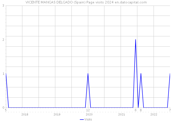VICENTE MANGAS DELGADO (Spain) Page visits 2024 