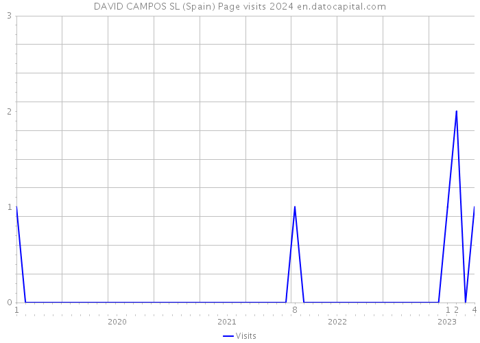 DAVID CAMPOS SL (Spain) Page visits 2024 