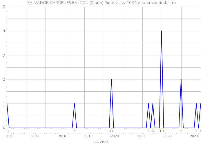 SALVADOR CARDENES FALCON (Spain) Page visits 2024 
