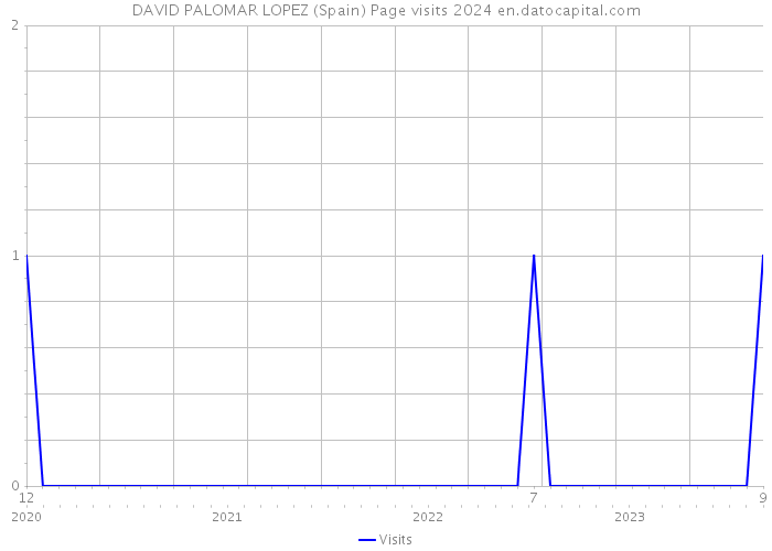 DAVID PALOMAR LOPEZ (Spain) Page visits 2024 