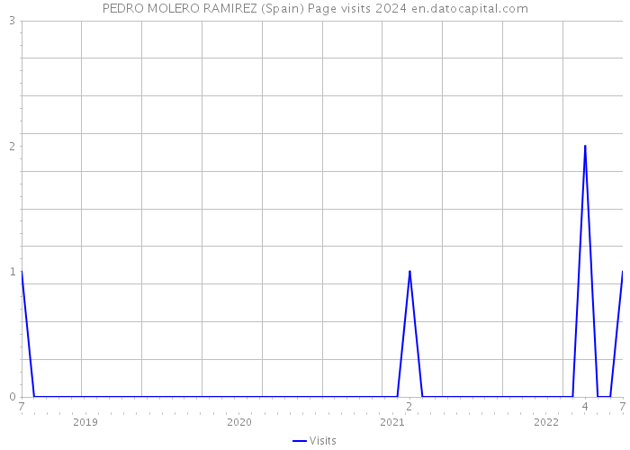 PEDRO MOLERO RAMIREZ (Spain) Page visits 2024 