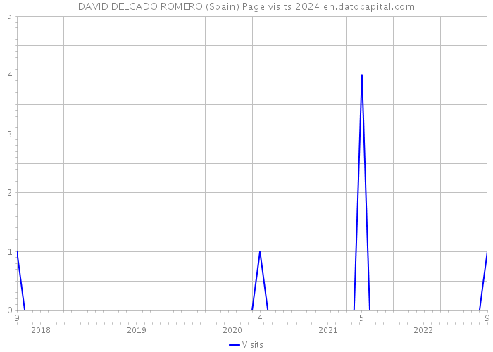 DAVID DELGADO ROMERO (Spain) Page visits 2024 