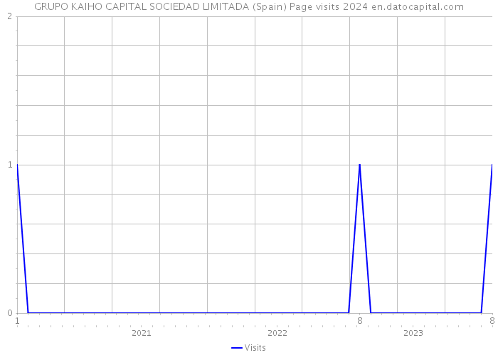 GRUPO KAIHO CAPITAL SOCIEDAD LIMITADA (Spain) Page visits 2024 