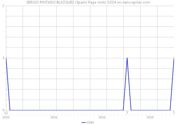 SERGIO PINTADO BLAZQUEZ (Spain) Page visits 2024 