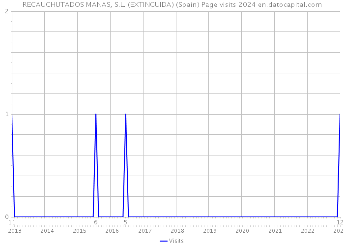 RECAUCHUTADOS MANAS, S.L. (EXTINGUIDA) (Spain) Page visits 2024 