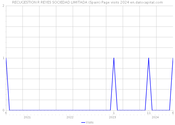 RECUGESTION R REYES SOCIEDAD LIMITADA (Spain) Page visits 2024 