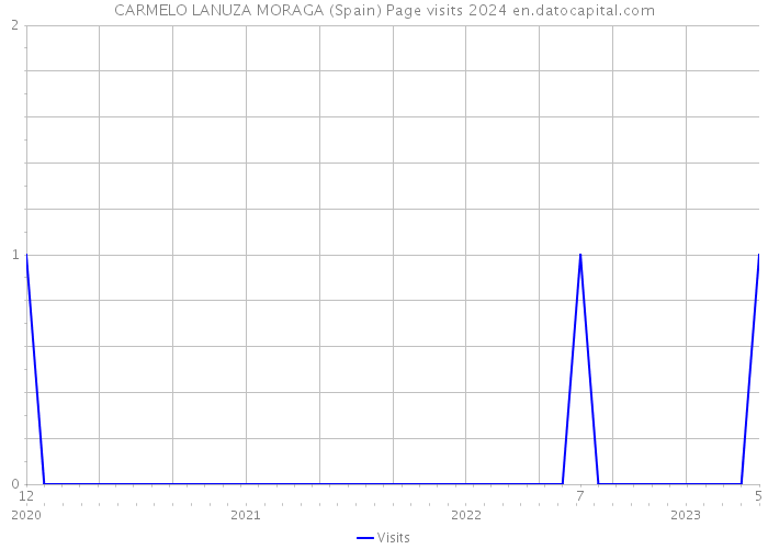 CARMELO LANUZA MORAGA (Spain) Page visits 2024 