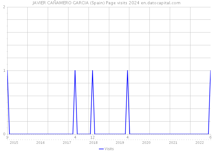 JAVIER CAÑAMERO GARCIA (Spain) Page visits 2024 