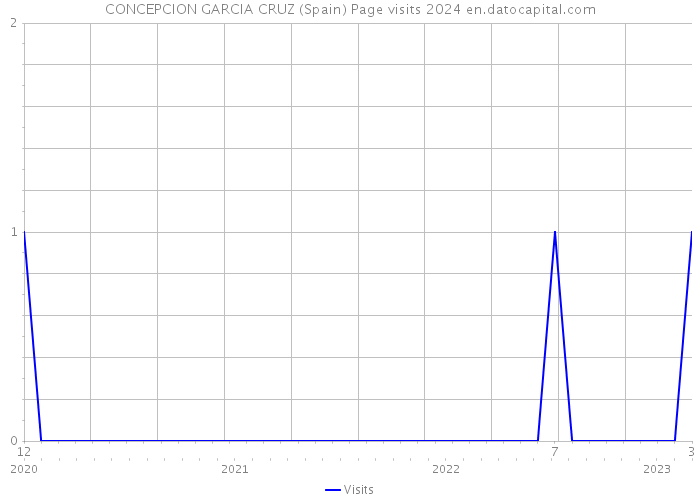 CONCEPCION GARCIA CRUZ (Spain) Page visits 2024 