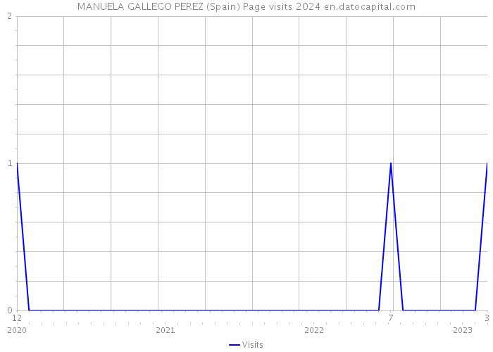 MANUELA GALLEGO PEREZ (Spain) Page visits 2024 