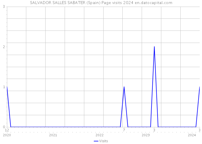 SALVADOR SALLES SABATER (Spain) Page visits 2024 