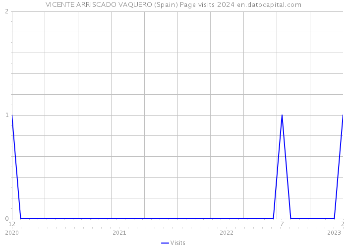 VICENTE ARRISCADO VAQUERO (Spain) Page visits 2024 