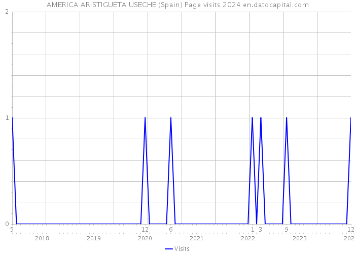 AMERICA ARISTIGUETA USECHE (Spain) Page visits 2024 