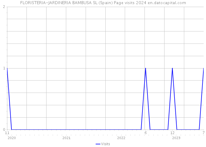 FLORISTERIA-JARDINERIA BAMBUSA SL (Spain) Page visits 2024 