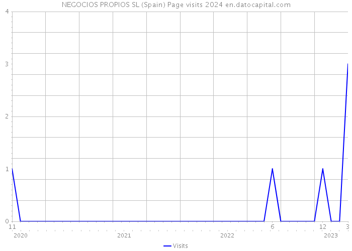 NEGOCIOS PROPIOS SL (Spain) Page visits 2024 