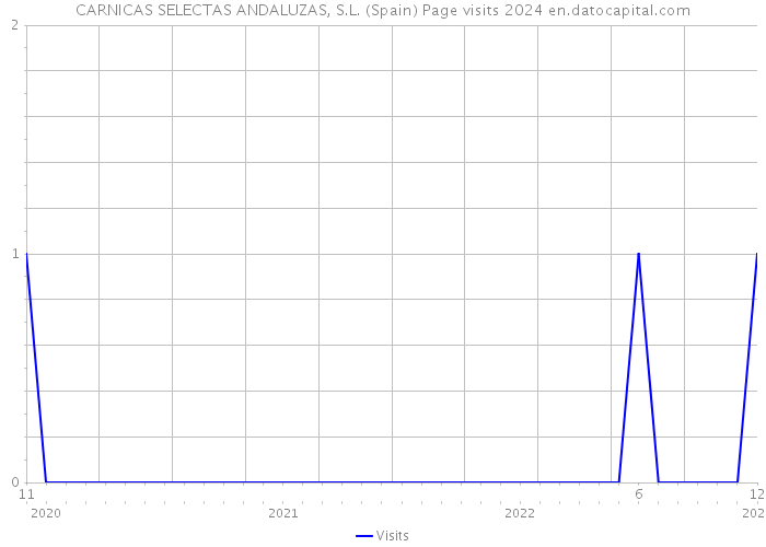 CARNICAS SELECTAS ANDALUZAS, S.L. (Spain) Page visits 2024 