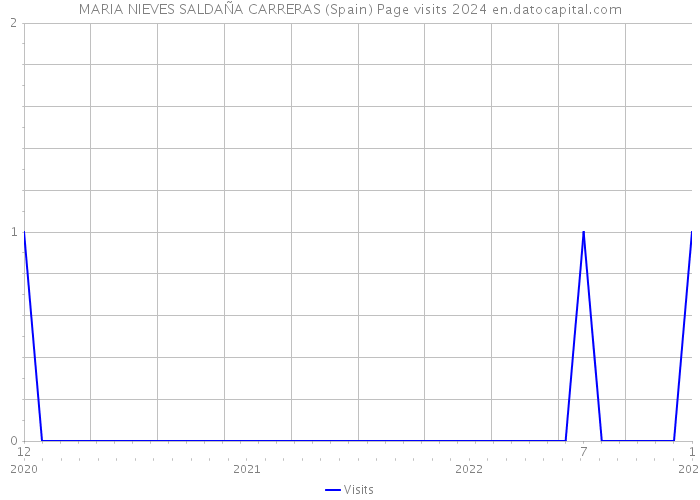 MARIA NIEVES SALDAÑA CARRERAS (Spain) Page visits 2024 