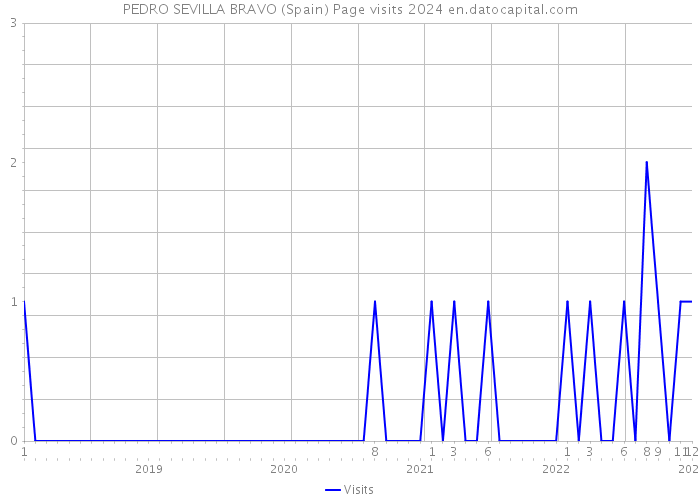 PEDRO SEVILLA BRAVO (Spain) Page visits 2024 