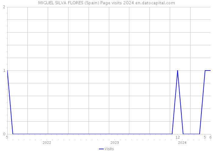 MIGUEL SILVA FLORES (Spain) Page visits 2024 