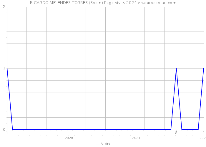 RICARDO MELENDEZ TORRES (Spain) Page visits 2024 