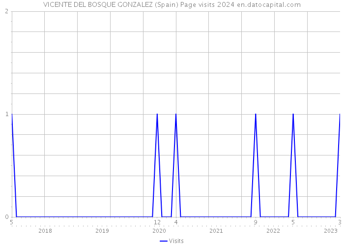 VICENTE DEL BOSQUE GONZALEZ (Spain) Page visits 2024 