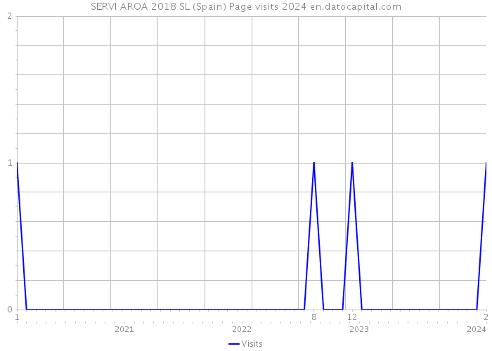 SERVI AROA 2018 SL (Spain) Page visits 2024 