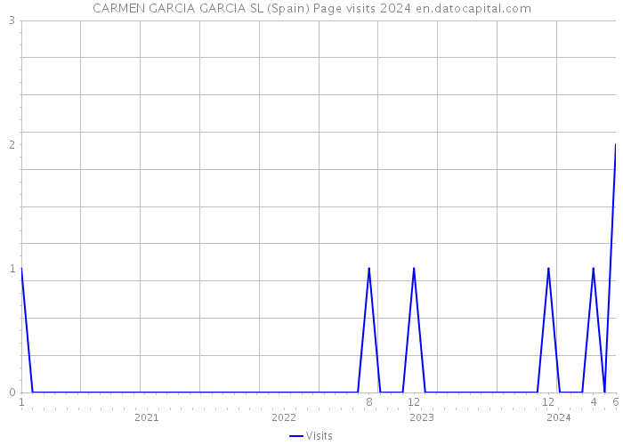 CARMEN GARCIA GARCIA SL (Spain) Page visits 2024 