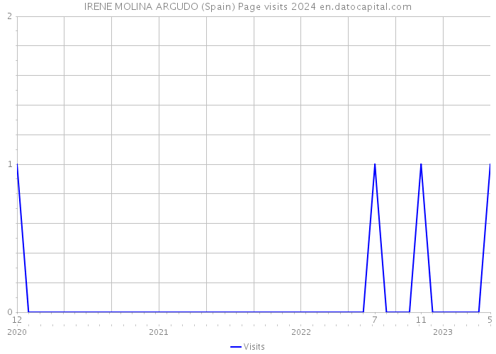 IRENE MOLINA ARGUDO (Spain) Page visits 2024 