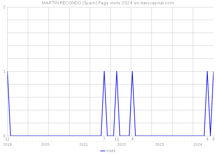 MARTIN RECONDO (Spain) Page visits 2024 