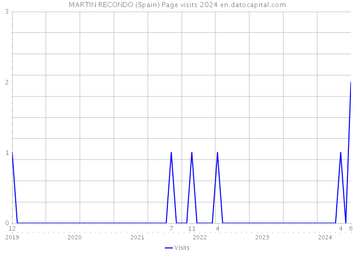 MARTIN RECONDO (Spain) Page visits 2024 
