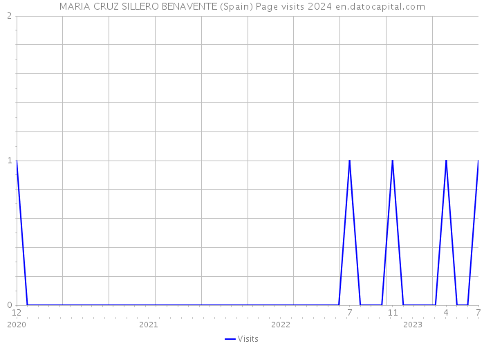 MARIA CRUZ SILLERO BENAVENTE (Spain) Page visits 2024 