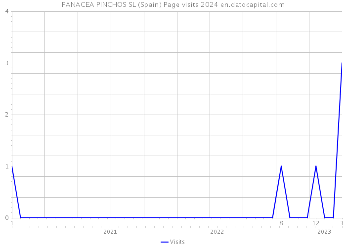 PANACEA PINCHOS SL (Spain) Page visits 2024 
