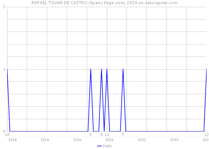 RAFAEL TOVAR DE CASTRO (Spain) Page visits 2024 