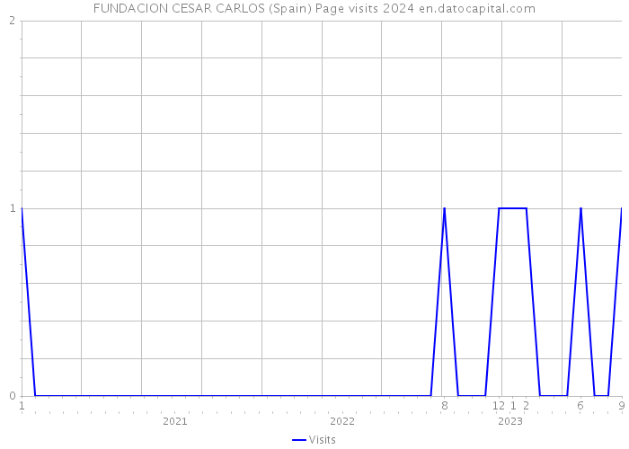 FUNDACION CESAR CARLOS (Spain) Page visits 2024 