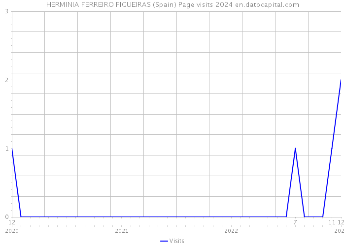 HERMINIA FERREIRO FIGUEIRAS (Spain) Page visits 2024 