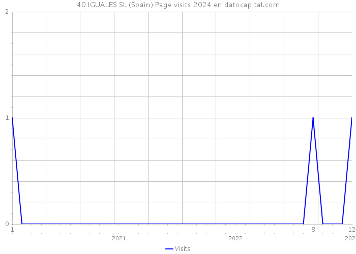 40 IGUALES SL (Spain) Page visits 2024 