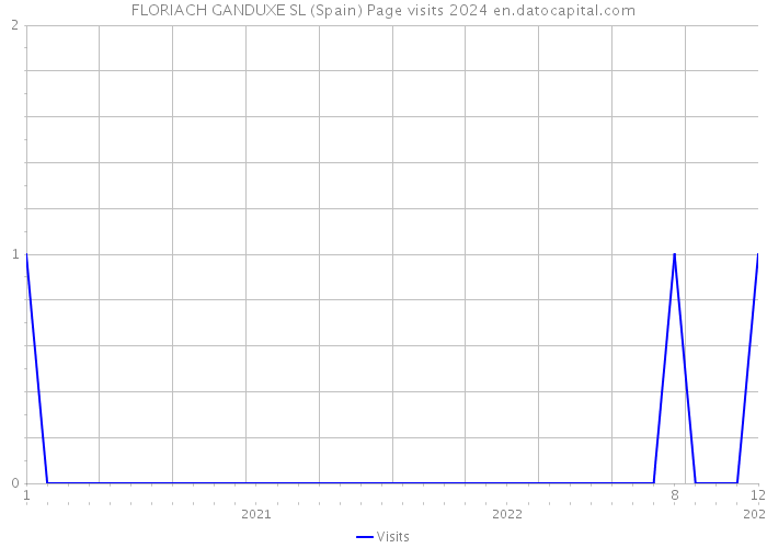 FLORIACH GANDUXE SL (Spain) Page visits 2024 