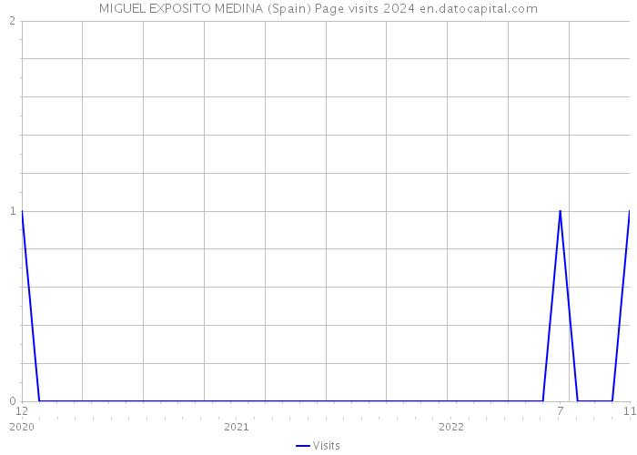 MIGUEL EXPOSITO MEDINA (Spain) Page visits 2024 