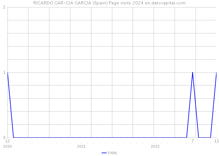 RICARDO GAR-CIA GARCIA (Spain) Page visits 2024 