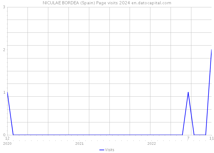 NICULAE BORDEA (Spain) Page visits 2024 