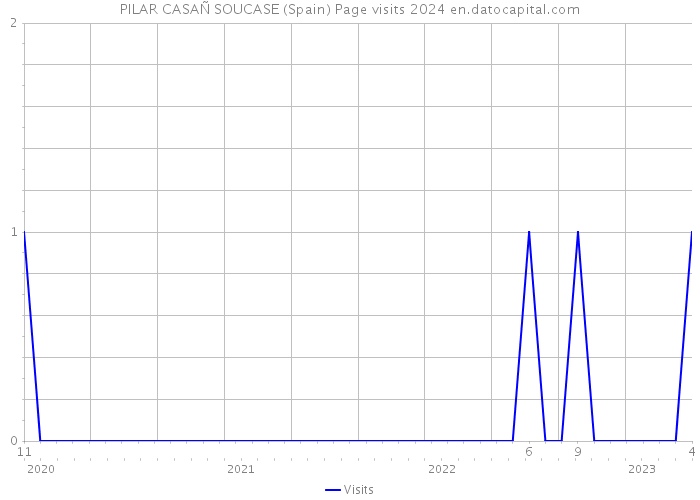 PILAR CASAÑ SOUCASE (Spain) Page visits 2024 