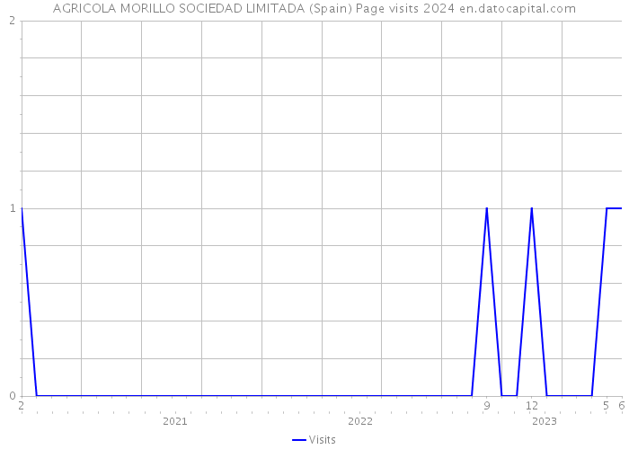 AGRICOLA MORILLO SOCIEDAD LIMITADA (Spain) Page visits 2024 