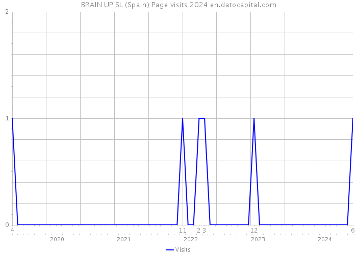 BRAIN UP SL (Spain) Page visits 2024 