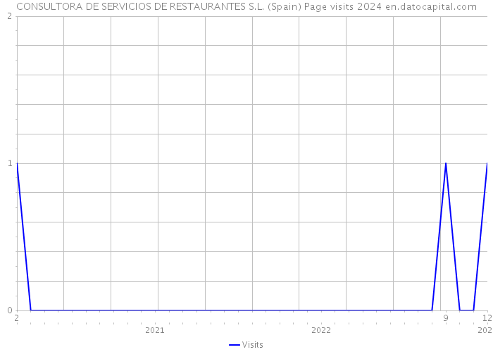 CONSULTORA DE SERVICIOS DE RESTAURANTES S.L. (Spain) Page visits 2024 
