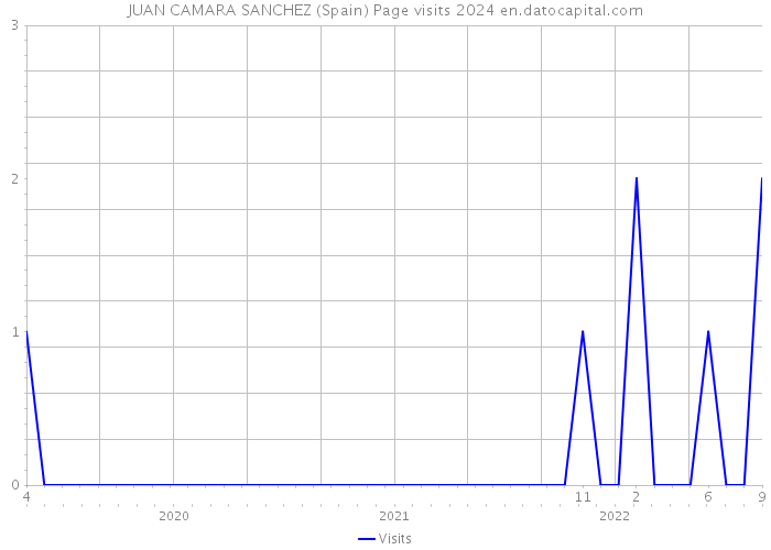 JUAN CAMARA SANCHEZ (Spain) Page visits 2024 