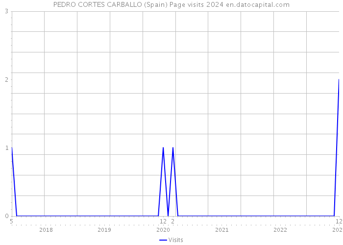 PEDRO CORTES CARBALLO (Spain) Page visits 2024 