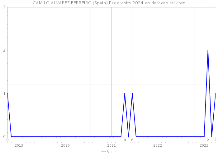 CAMILO ALVAREZ FERREIRO (Spain) Page visits 2024 